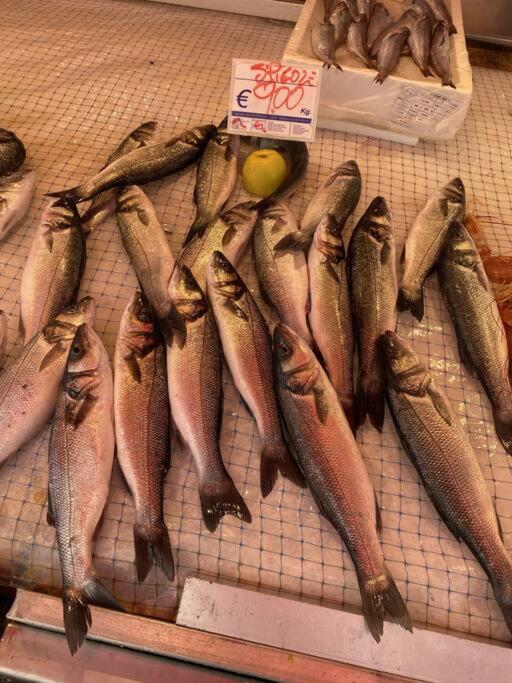 Casa Del Pescatore Di Ortigia Syracuse Ngoại thất bức ảnh
